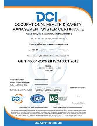 ISO 45001 IAS 英文样本